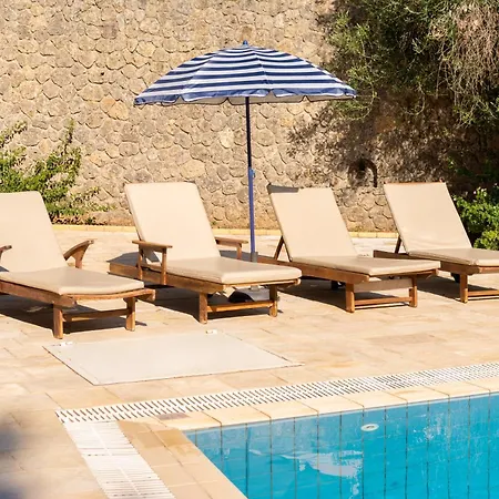 Olympic Azure فيلة